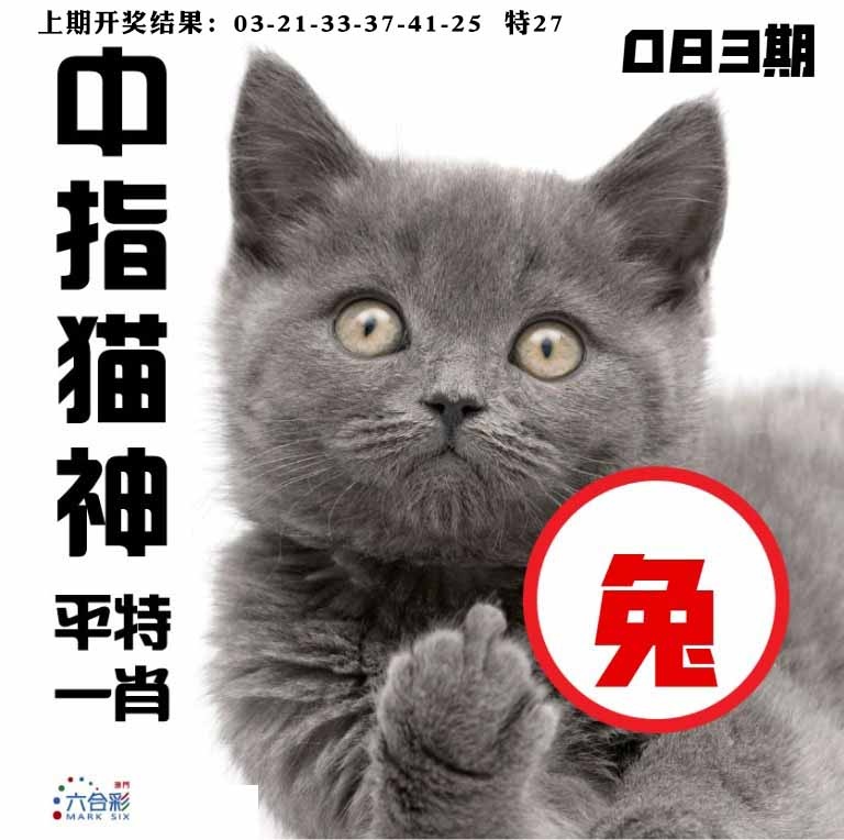 083期中指猫神[图]